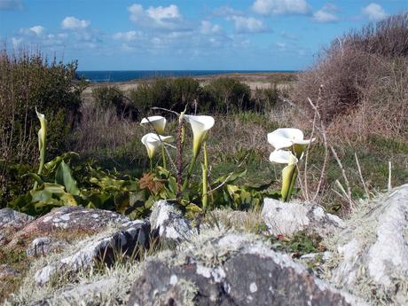 le monde et son mot de passe