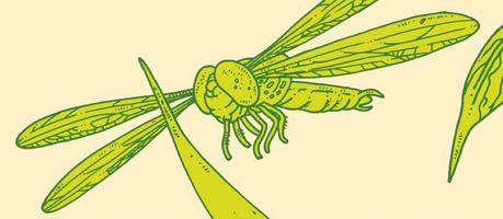 Chronique roman : Annihilation