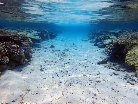 Quel Appareil Photo Etanche Pour Le Snorkeling Aux Maldives
