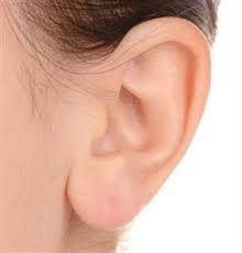 image-oreille
