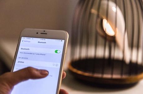 JinGoo-Bird-Shaped-Speaker4-900x599