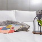 DESIGN : Oiseau Bluetooth