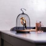 DESIGN : Oiseau Bluetooth