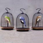 DESIGN : Oiseau Bluetooth