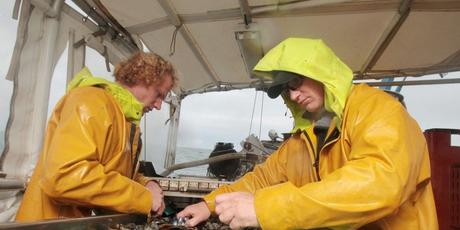 Hier encore dans la baie d’Yves, Benoît et François Durivaud ont constaté la mauvaise santé des élevages de moules