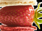 Gourmandise/food Macaron Fraise Rhubarbe