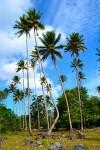 Vanuatu #3 – 50 nuances de bleu sur la côte Est d’Espiritu Santo