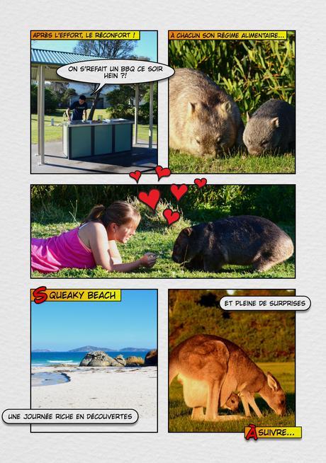 Australie - Wilsons Promontory (2)