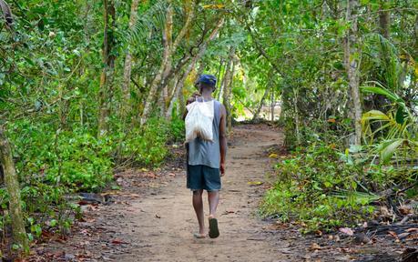 Costa Rica #1 – Ambiance afro-caribéenne près des parcs de Cahuita et de Manzanillo