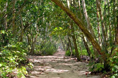 Coastal Trail