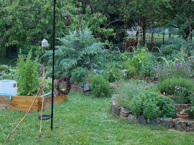 Retour sur la Fête de la Nature et la journée porte ouverte