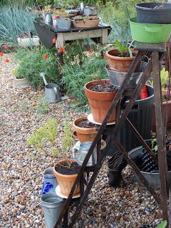 Retour sur la Fête de la Nature et la journée porte ouverte