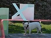 Découvrez Mobilier coloré* In-door Out-door