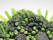 DIABÈTE: carence légumes verts contribue pathogenèse