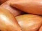 Échalotes Prince Bretagne confites miel, filets rougets poêlés