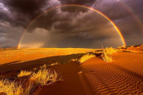 Stefan Forster/ National Geographic Travel Photographer of the Year Contest. Rain in the Desert. Namibrand-Park