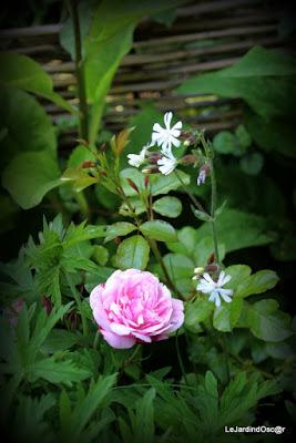 Tel une symphonie...