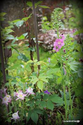 Tel une symphonie...