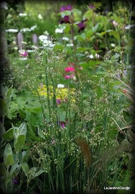 Tel une symphonie...