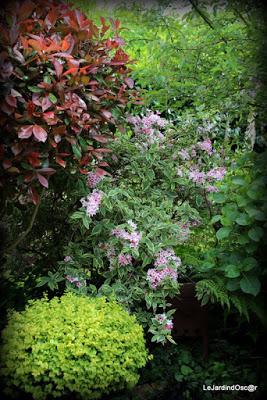 Tel une symphonie...