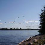 Camping Bellevue Sud - Camping au Québec