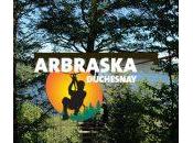 Arbre arbre Abraska Dushesnay