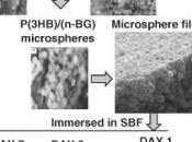 CICATRISATION: nouveau polymère hémostatique base verre bioactif Polymer International