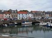 Quelques réflexions débotté Anniversaire, Trump, œufs tondus, gâchis…