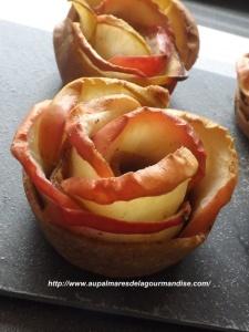 Jolis boutons de roses aux pommes IG bas- apple rose