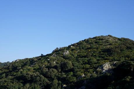 var la seyne-sur-mer cap sicié randonnée sentier littoral