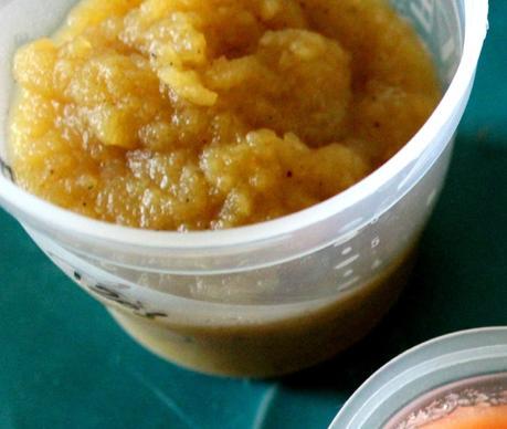 Petits pots maison pour bébé Petit pot Mangue poire vanille