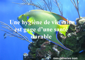 7 remèdes pour soulager rapidement un mal de dents rp_image-sante-durable2-300x213.png