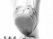 avis 6ème tome Rougis Lanabellia