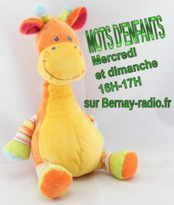 Arrêt momentanée du programme jeunesse de Bernay-radio.fr…