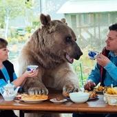 Russian family sit down to dinner with a 300lb BEAR at the table