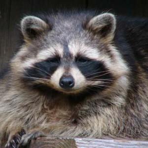 Bioparc de la Gaspésie