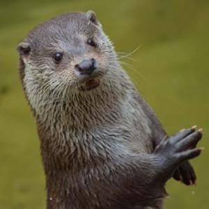 Centre de biodiversité de Bécancour