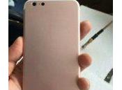 iPhone photo coque Rose balade toile