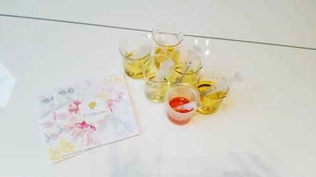 13323985_10154312295739175_178534443_o