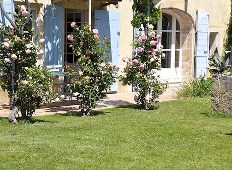 Le petit jardin du Mas Bleu