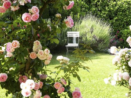 Le petit jardin du Mas Bleu