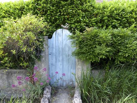 Le petit jardin du Mas Bleu