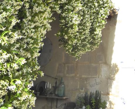 Le petit jardin du Mas Bleu