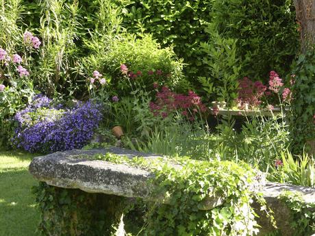 Le petit jardin du Mas Bleu