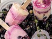 Bâtonnets yaourt glacé cassis frais