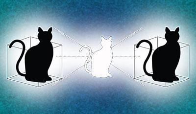 Illustration of Schrödinger's cat in two boxes