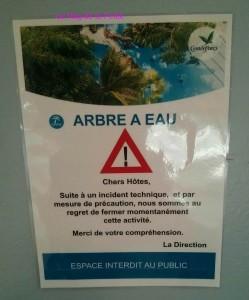 (Center Parcs – Les Bois Francs) Aux pays des canards #2 center parcs les bois francs arbre à eau