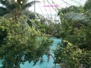 (Center Parcs – Les Bois Francs) Aux pays des canards #2 center parcs les bois francs aqua mundo