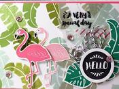 Blog nouveau catalogue 2016/2017