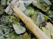 Franc-maçonnerie: Histoire d'une philosophie